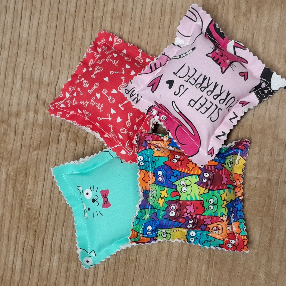 Set of 4 cat nip ravioli toys